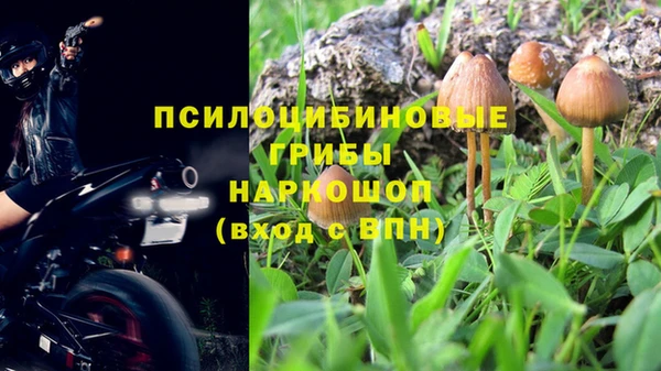индика Алексеевка