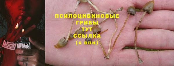 бошки Алексин