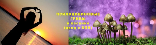jwh Алзамай