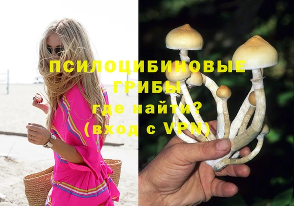 jwh Алзамай