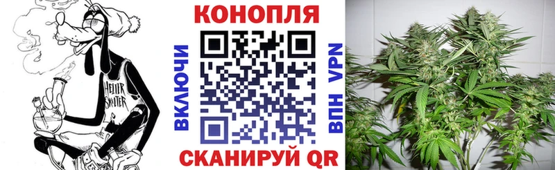 Бошки Шишки планчик  купить   Хотьково 